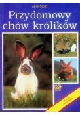Przydomowy chów królików
