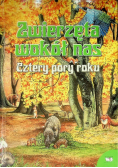 Zwierzęta wokół nas Cztery pory roku