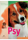 Psy