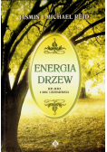 Energia drzew ich aura i moc uzdrawiania