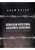 Oświęcim Brzezinka Auschwitz Birkenau