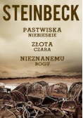 Pastwiska niebieskie Złota czara Nieznanemu bogu