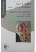 Prehistoryczni szamani