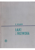 Łąki i pastwiska