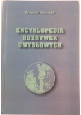 Encyklopedia rozrywek umysłowych
