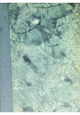O dawnych łowach i dawnej zwierzynie 1925 r.