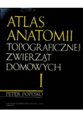 Atlas anatomii topograficznej zwierząt domowych Tom I