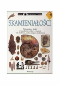 Skamieniałości