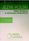 Język polski Teksty ikoniczne w ćwiczeniach maturalnych