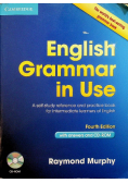 English Grammar in Use