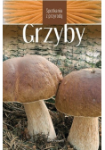Grzyby