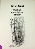 Cienie spomiędzy drzew