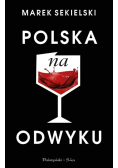 Polska na odwyku