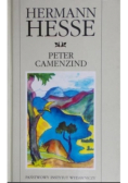 Peter Camenzind