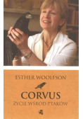 Corvus Życie wśród ptaków