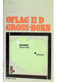 Oflag II D Gross Born