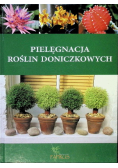 Pielęgnacja roślin doniczkowych