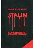 Stalin Rys historyczny bolszewizmu