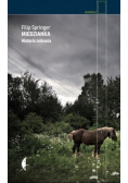 Miedzianka