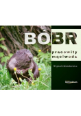 Bóbr - pracowity mąciwoda
