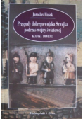 Przygody dobrego wojaka Szwejka podczas wojny światowej