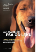 Jak uwolnić psa od lęku. Program pozytywnej pracy