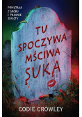 Tu spoczywa mściwa suka