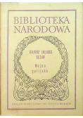 Wojna galijska