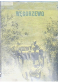 Węgorzewo