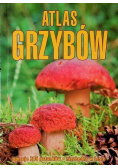 Atlas grzybów