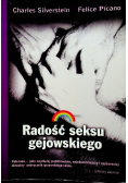 Radość seksu gejowskiego