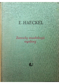 Zasady morfologii ogólnej