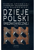 Dzieje Polski Średniowiecznej Tom II