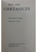 Mały atlas chrząszczy