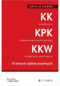 Kodeks karny. Kodeks postępowania karnego. Kodeks karny wykonawczy