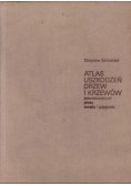 Atlas uszkodzeń drzew i krzewów