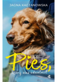 Pies, który nas odnalazł