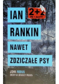 Nawet zdziczałe psy