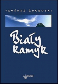 Biały kamyk