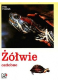 Żółwie ozdobne