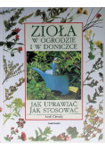 Zioła w ogrodzie w doniczce