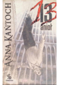 13 Anioł