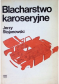 Blacharstwo karoseryjne