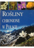 Rośliny chronione w Polsce