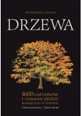 Drzewa. Przewodnik Collinsa