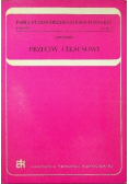 Przeciw Celsusowi Tom XVII Zeszyt 2