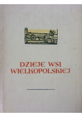 Dzieje wsi wielkopolskiej