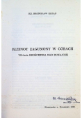 Klejnot zagubiony w górach