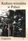 Kultura wizualna w Polsce. Tom 1 Fragmenty