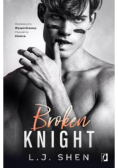 All saints high Tom 2 Broken knight